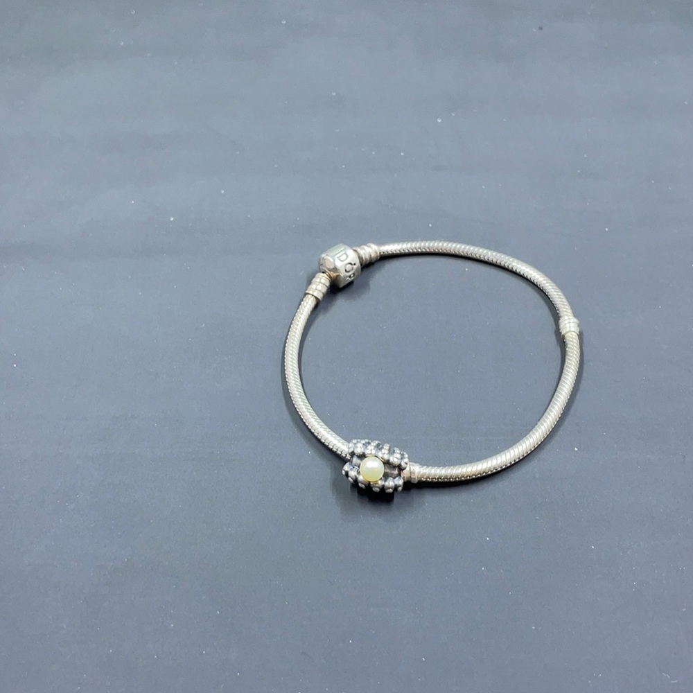 Pandora Bracelet